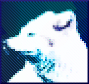 ArcticFocs